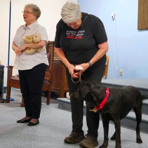 Service Dogs of Virgiinia handles a black dog with a red collar in the lodge on September 6, 2023