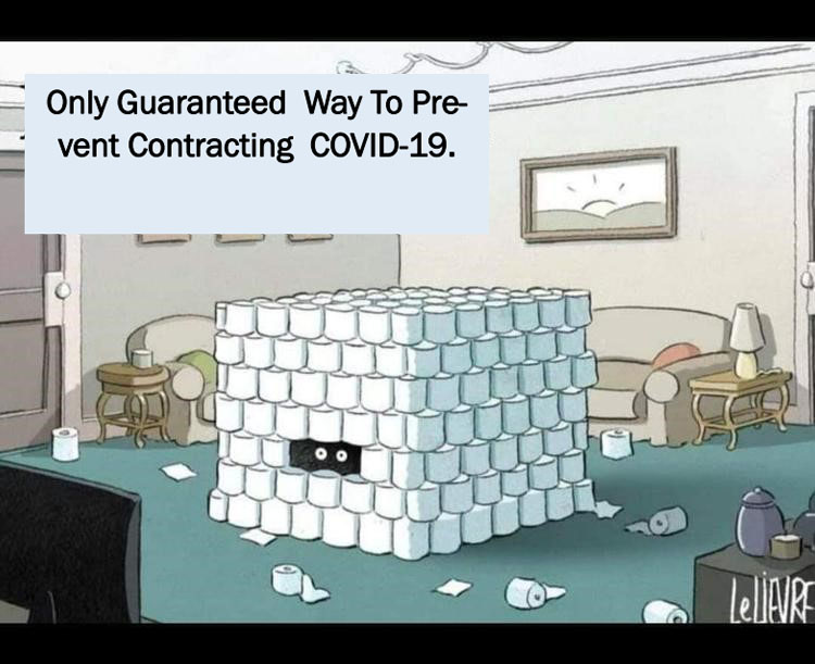 Someone is hiding in a fortress made of toilet paper shaped like a giant cube in their living room. You can only see their eyes staring outside with the caption "Only Guaranteed Way To Prevent Contracting Covid-19" meme